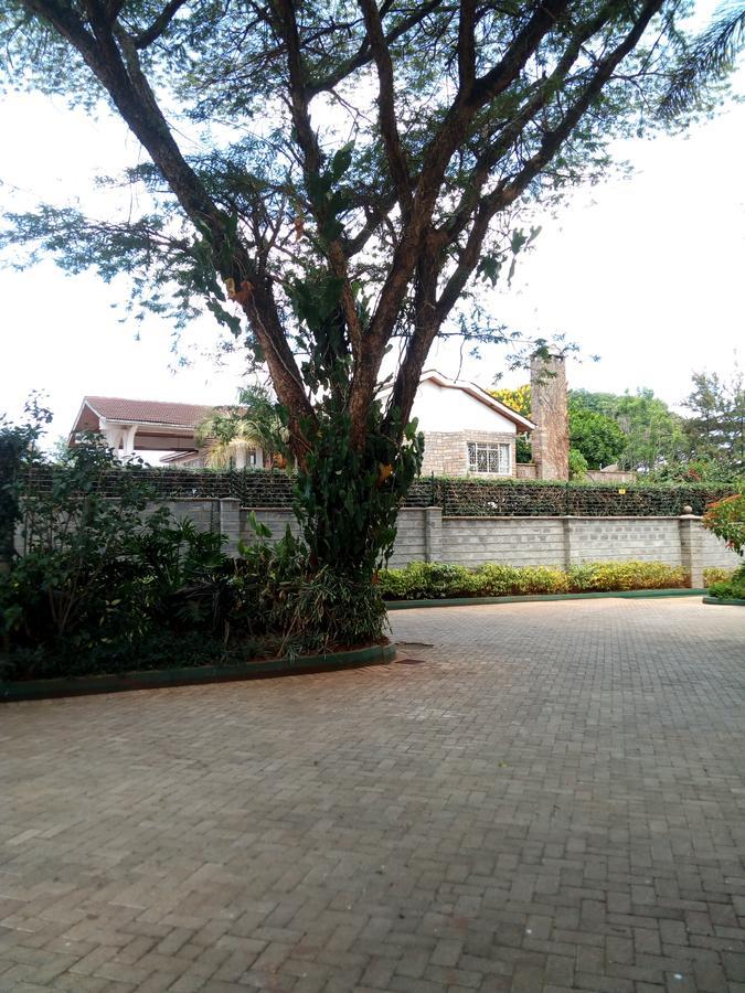 Kijiji Homestay نيروبي المظهر الخارجي الصورة